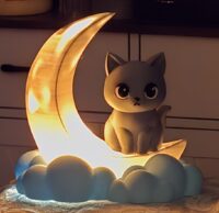 Cat on Moon Night Light